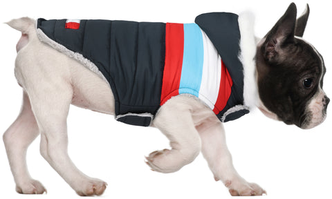 Dog Puffer Jacket with Harness Hole