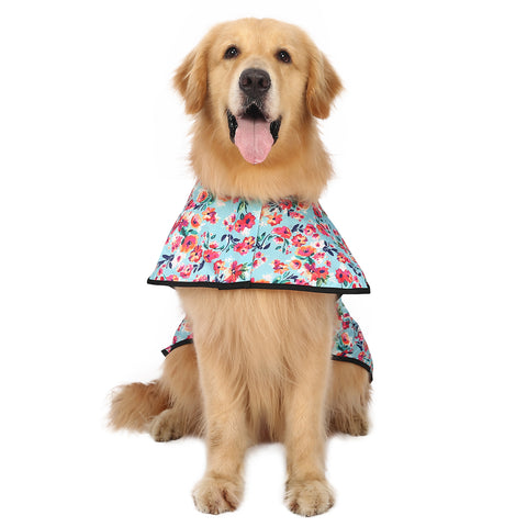 Patterned Dog Raincoat with Hood