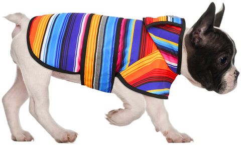 Patterned Dog Raincoat with Hood