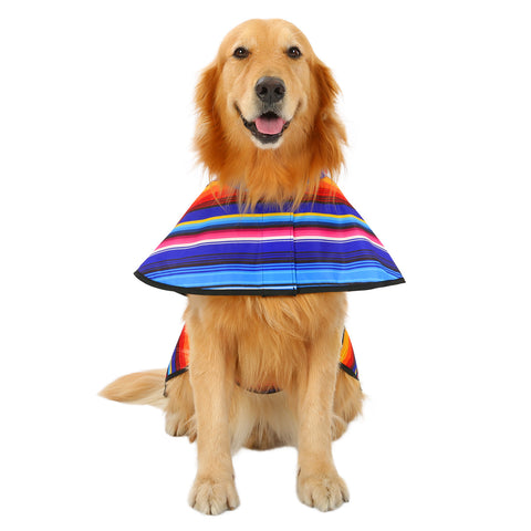 Patterned Dog Raincoat with Hood