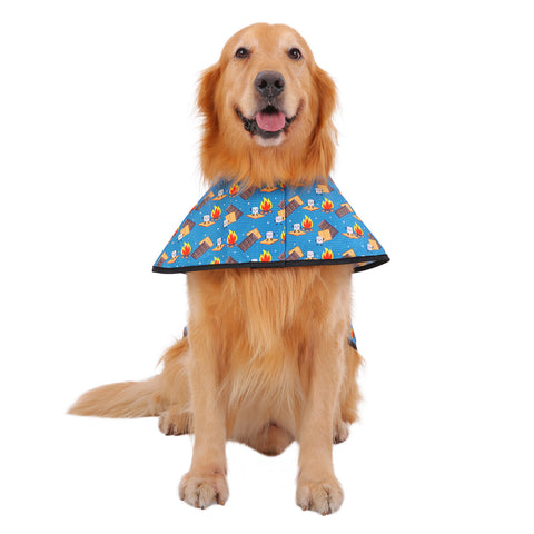 Patterned Dog Raincoat with Hood