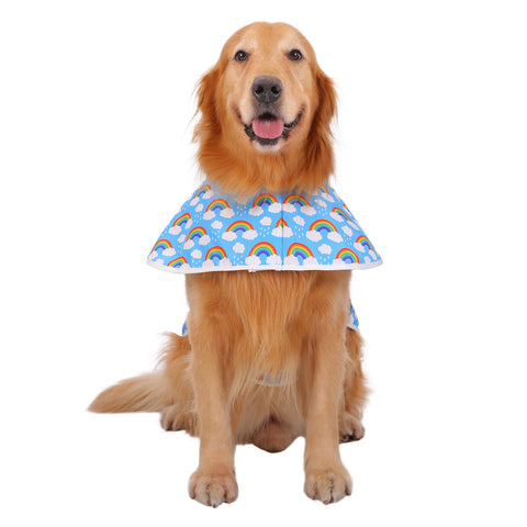 Patterned Dog Raincoat with Hood