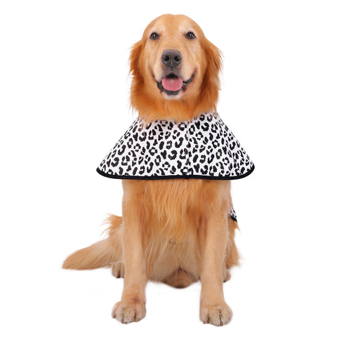 Patterned Dog Raincoat with Hood