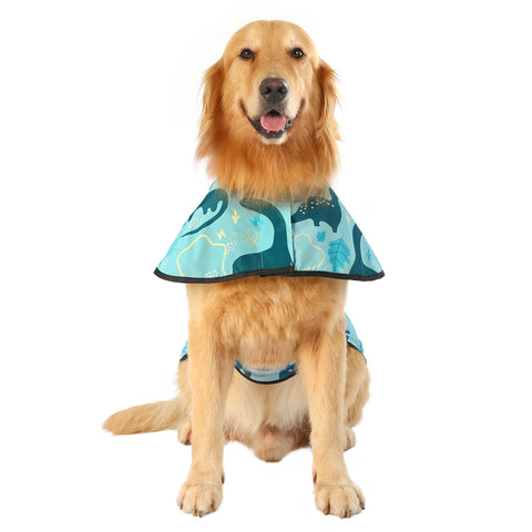 Dinosaurs Dog Raincoat with Hood