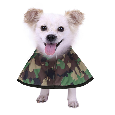 Patterned Dog Raincoat with Hood