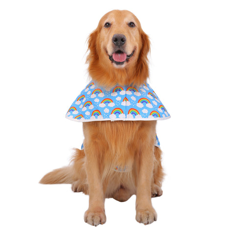 Rainbows Dog Raincoat with Hood